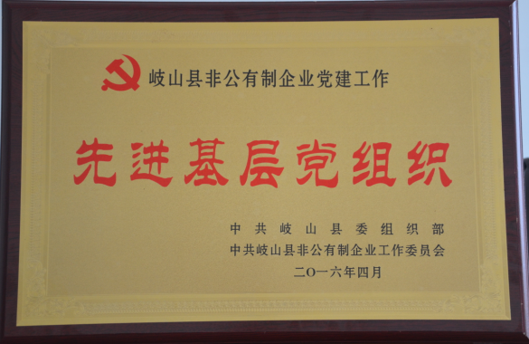 通運(yùn)集團(tuán)黨總支榮獲由岐山縣委組織部、縣非公黨建委員會(huì)授予的“先進(jìn)基層黨組